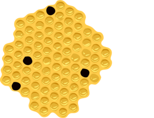Honey Comb Clip Art