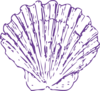 Purple Sea Shell Clip Art