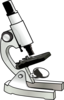 Microscope Clip Art