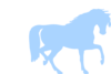 Horse Clip Art