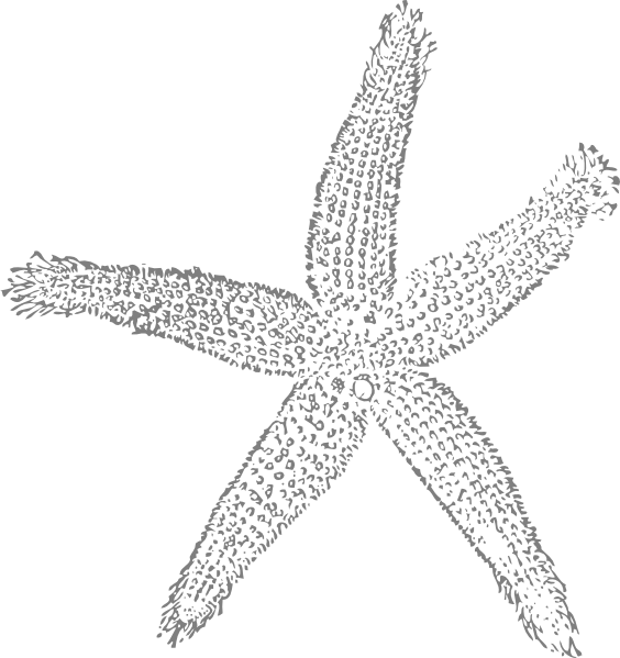 Silver Single Starfish clip art