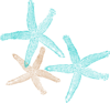 Starfish Prints Clip Art