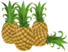 Pineapple Clip Art