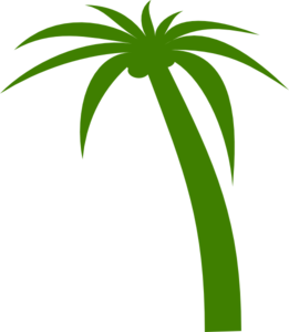 clip art coconut tree - photo #29