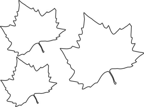 clipart maple leaf outline - photo #48