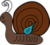 Slug Snail Clip Art