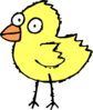 Cartoon Chick Clip Art