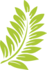 Hibiscus Leaf Clip Art