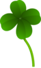 Four Leaf Clover  Clip Art