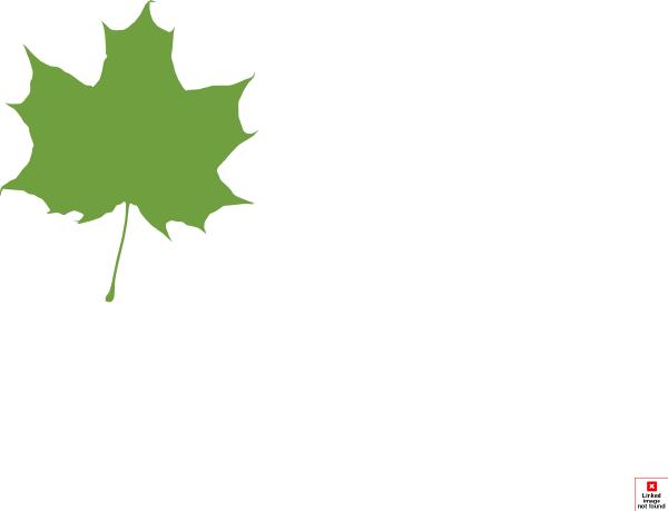 clipart green maple leaf - photo #12