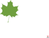 Green Maple Leaf Clip Art