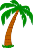 Palm Tree Clip Art