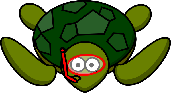 clipart of turtle - photo #21