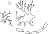 Neuron Disassembled Clip Art