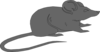 Grey Mouse  Clip Art
