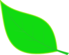 Cryptpoint Leaf 02 Clip Art