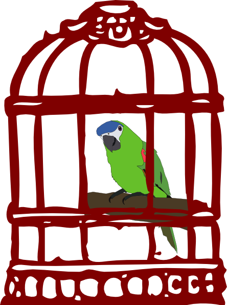 http://www.clker.com/cliparts/s/t/u/A/r/p/parrot-in-a-bird-cage-hi.png
