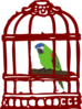 Parrot In A Bird Cage Clip Art