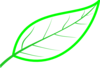 Cryptpoint Leaf Perimeter 04 Clip Art