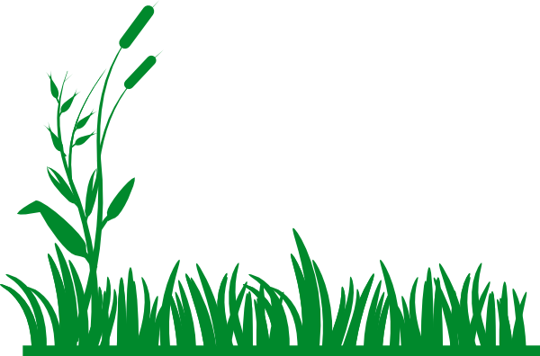 clip art grass border - photo #3