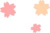 Pink Sakura Clip Art