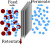 Membrane Clip Art