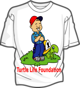 Turtle Clip Art