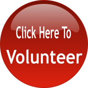 Volunteer Button 2 Clip Art at Clker.com - vector clip art online, royalty  free &amp; public domain