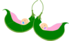 Two Pink Peas In A Pod Clip Art