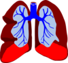 Lungs Clip Art