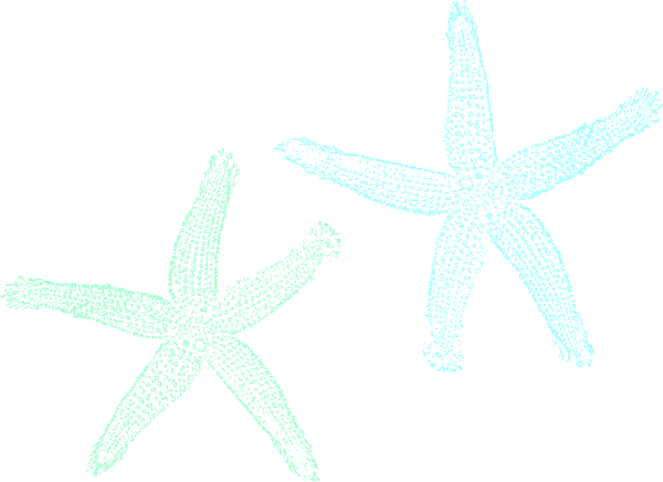 Starfish Wedding clip art