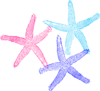 Triple Starfish Colors Clip Art