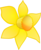 Daffodil Image Stripped Clip Art
