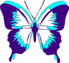 Butterfly Clip Art