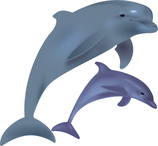 free animated dolphin clipart - photo #14