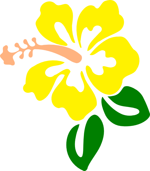 yellow hibiscus clipart - photo #7