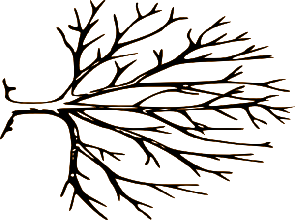 clipart tree with branches - photo #34