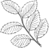 Dark Gray Leaves Clip Art