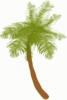 Small Palm Tree (edited) Clip Art