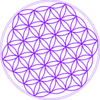 Flower Of Life Purple Clip Art