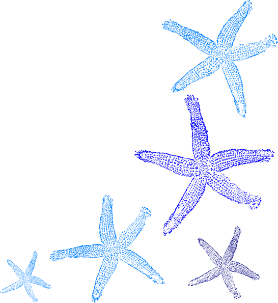 clipart pictures starfish - photo #44