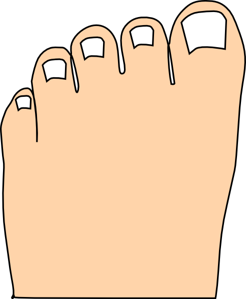 clipart of a big toe - photo #8