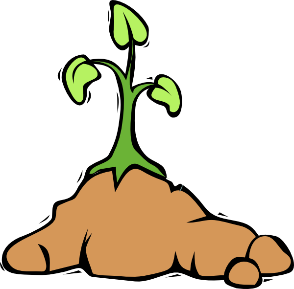 flower growing clipart - photo #11