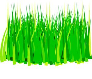Grass 3 Clip Art