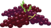 Bunch Of Grapes Clip Art