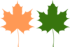 Maple Leaves Clip Art