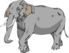 Black And White Elephant Clip Art