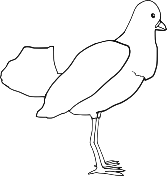 Bird (outline) Clip Art at Clker.com - vector clip art online, royalty