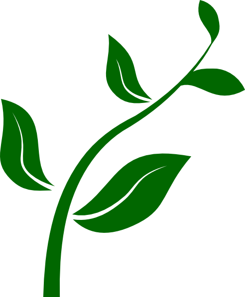 flower growing clipart - photo #4