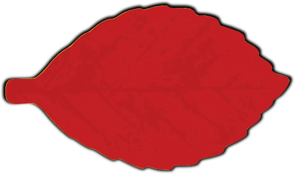 clip art red leaf - photo #4